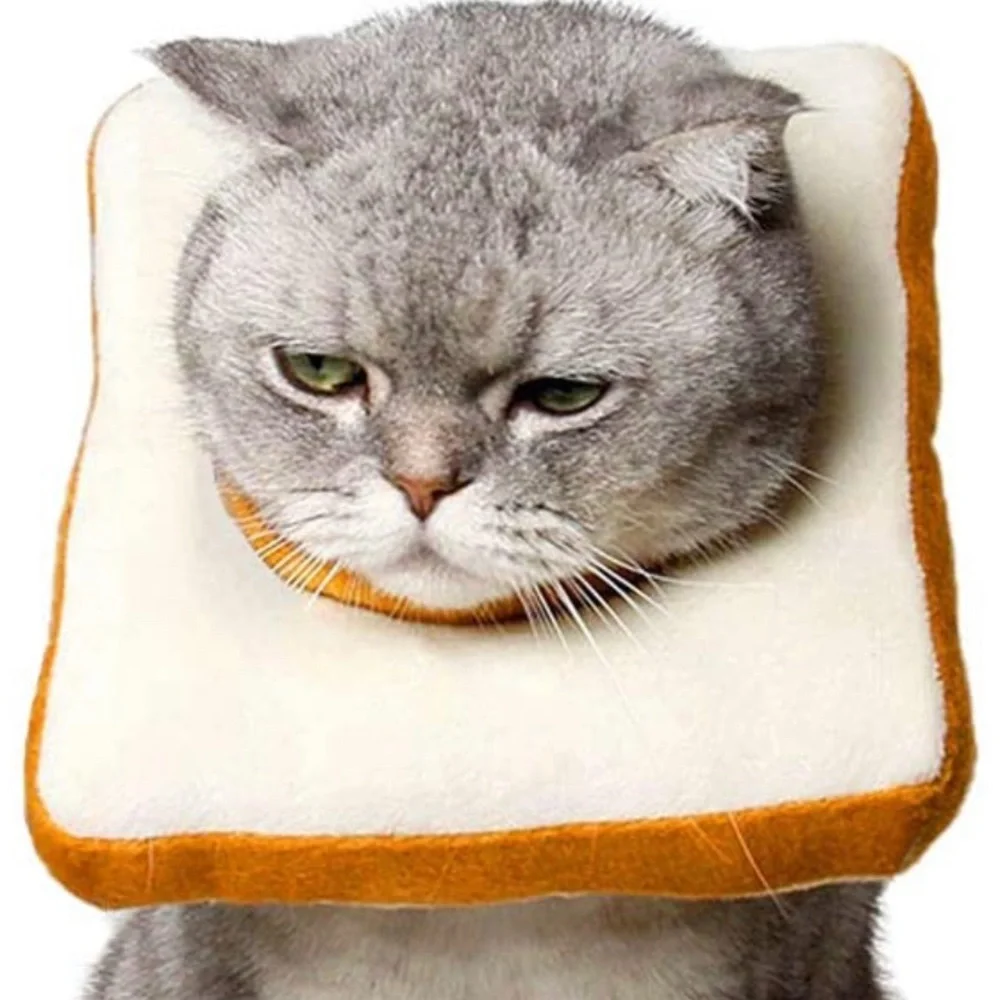 Adjustable Soft Toast Cat Cone Collar 🐱 🍞